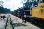 Ore Train, Railroad Tracks, Bukit Ibam, 1950s, VRFV01P01_11