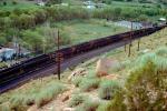 Coal Train, Hopper, VTRA 13, June 1978, VRFV01P10_09.3289