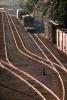 Rail Yard, Columbia River Basin, Railroad Tracks, 11 August 1991, VRFV02P10_08.3290