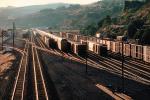 Rail Yard, Columbia River Basin, Railroad Tracks, VRFV02P11_19.3290