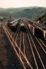 Rail Yard, Columbia River Basin, Railroad Tracks
