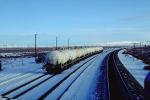 Tank Cars, Railroad Tracks in the Snow, Brush, Shrub, Ice, Cold, Cool, Frozen, Icy, Winter, hills, mountains