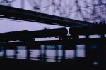 Freight Train, Mississippi River, Bridge, Railroad Tracks, Saint Louis, 20 October 1993, VRFV03P08_08.3291