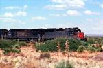 SP 7628, SP 9316, Southern Pacific, Diesel Electric Locomotive, 9 May 1994