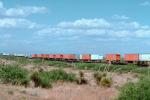 Southern Pacific, Piggyback Rail Container, Southern New Mexico, USA, intermodal, VRFV03P12_09.3291
