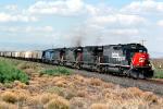 SP 8362, SP 7379, SP 8336, Southern Pacific, Diesel Locomotive, southern New Mexico, USA, VRFV03P12_13
