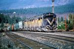 UP 9003, MPI, Union Pacific, Diesel Electric Locomotive, Truckee, VRFV04P04_16