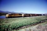 UP 4347, UP 9518, Union Pacific, Diesel Electric Locomotive, Klamath Lake, VRFV05P04_19