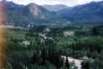 Bridge over a River near Fairbanks, forest, mountains, trees