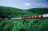 Canadian National Railways, CN, Boxcars, Forest, Mountain, Horseshoe Curve National Historic Landmark, Altoona, Allegheny Mountains