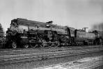 Southern Pacific, SP 4305, 4-8-2, Mt-1 , 1950s