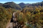 NS 8000 and 8021, Forest, River, Trees, woodlands,  Big Bend West Virginia, VRFV07P10_12