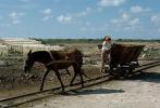 Donkey Pulls an Ore Car, narrow guage rail