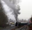 Tacoma Steam Train, VRPD01_049