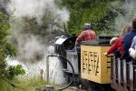Miniature Rail, Live Steamer