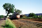 NVR 72, MLW ALCO FPA4, Wine Train, Diesel Electric Locomotive, Napa Valley Railroad