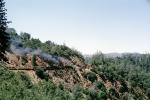 Feather River Railway, trees, forest, woodland, Oroville, 1963, 1960s, VRPV05P03_13