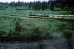 Alaska Railroad, W P & Y R, White Pass & Yukon Route, VRPV05P15_05