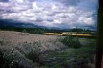 Alaska Railroad, W P & Y R, White Pass & Yukon Route, VRPV05P15_06