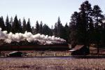 SP 4449, GS-4 class Steam Locomotive, 4-8-4, Southern Pacific Daylight Special, VRPV07P04_01
