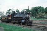 Cass Scenic Railroad, Shay #4 Steam Locomotive, West Virginia, VRPV07P10_08