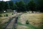Railroad Tracks, July 1966, VRPV07P11_06