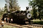 Feather River Railway, Shay #2, class C Shay, June 1963