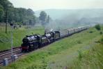 43106 Welsh Marches Pullman Steam Train
