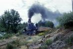 Durango and Sliverton Train, VRPV09P05_09