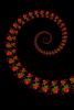 Spiral, WFMV01P09_04B