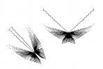 Flight of the Mathematical Butterflies, WFNV01P02_07B