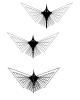 Doodle Bug, Flying, Flight of the Mathematical Butterflies