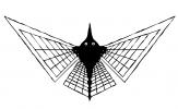 Doodle Bug, Flying, Flight of the Mathematical Butterfly, WFNV01P02_10B