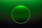 Green Circle, WGBV02P03_18.3287