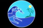 Wave, Palm Tree, Ocean, Tsunami, Sun, sky, Round, Circle, Circular, Blank Area for Titles, WGTV01P06_04