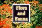 Flora and Fauna Title, WGTV02P05_10