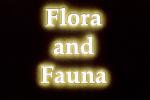 Flora and Fauna Title, WGTV02P05_13