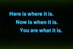 Here is where it is, Now is when it is, You are what it is