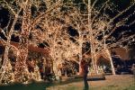 Tree Lights, vern dawg, Tavern on the Green, Central Park, 23 November 1989